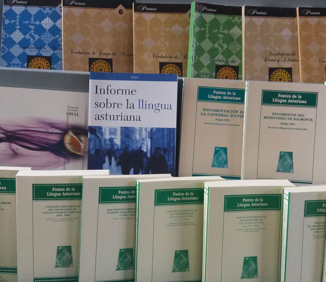 La Academia de la Llingua Asturiana celebra en la Facultad de Filosofía y Letras de la Universidad de Oviedo les XXXVIII Xornaes Internacionales d&#039;Estudio.