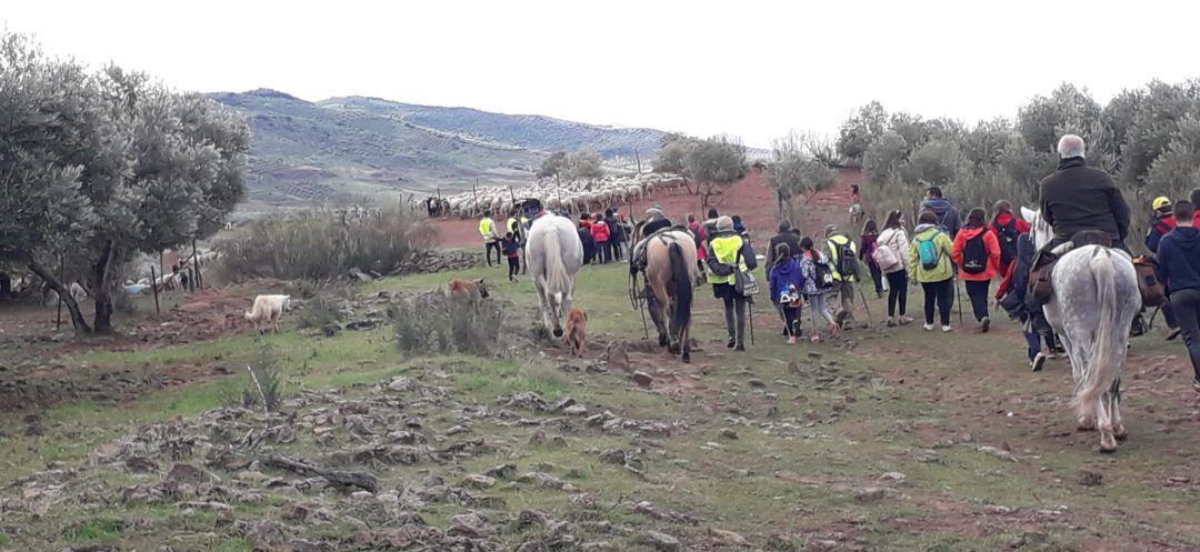 Varios escolares participan en la actividad de trashumancia.