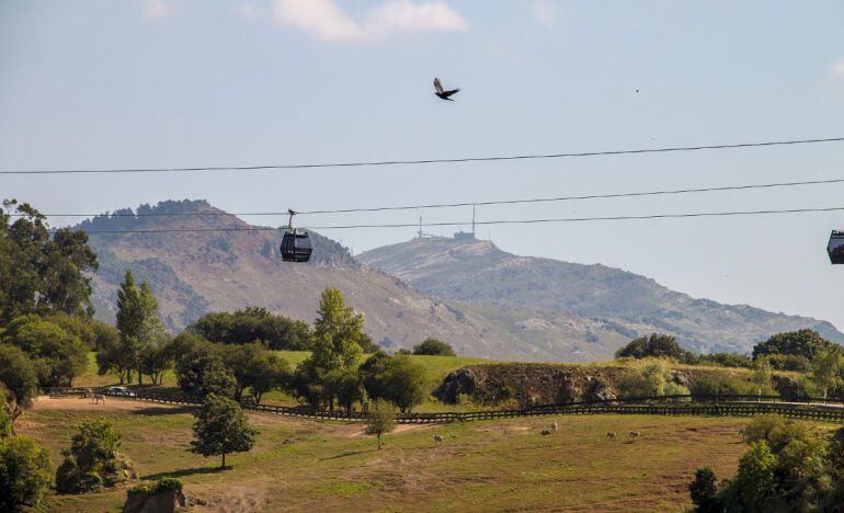 Telecabina a su paso por un paraje del Parque de Cabárceno.