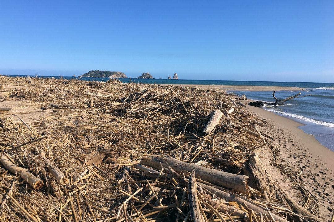 Una imatge d&#039;arxiu del material que s&#039;acumulava a la desembocadura del Ter a l&#039;Estartit.