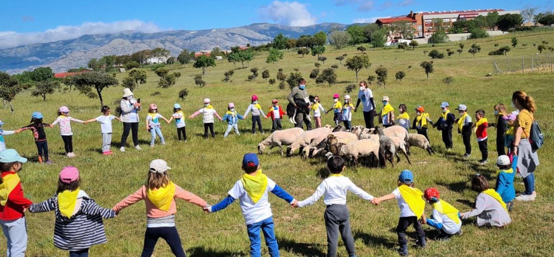 Con sus más de 1.000 hectáreas, es considerado el pulmón verde de Colmenar Viejo