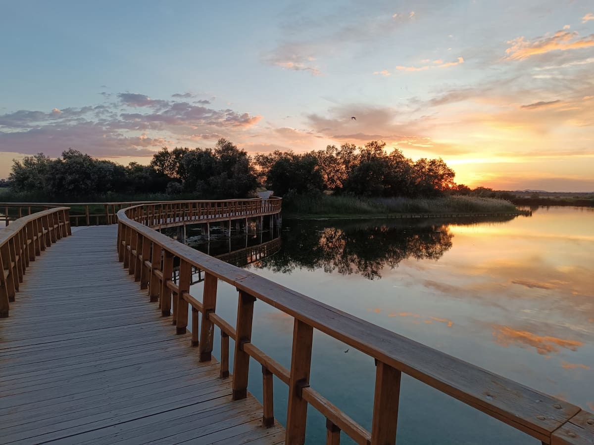 Esta podría ser "la mejor primavera desde 2013" para Las Tablas de Daimiel