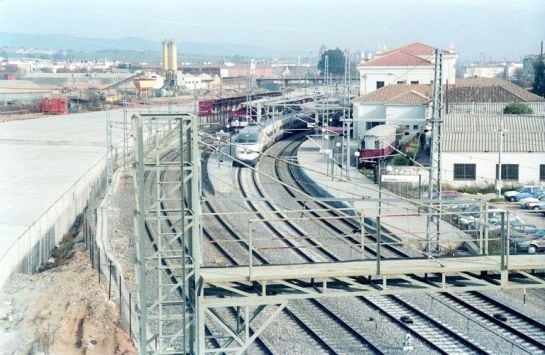 1993 - Ave en tránsito por Córdoba