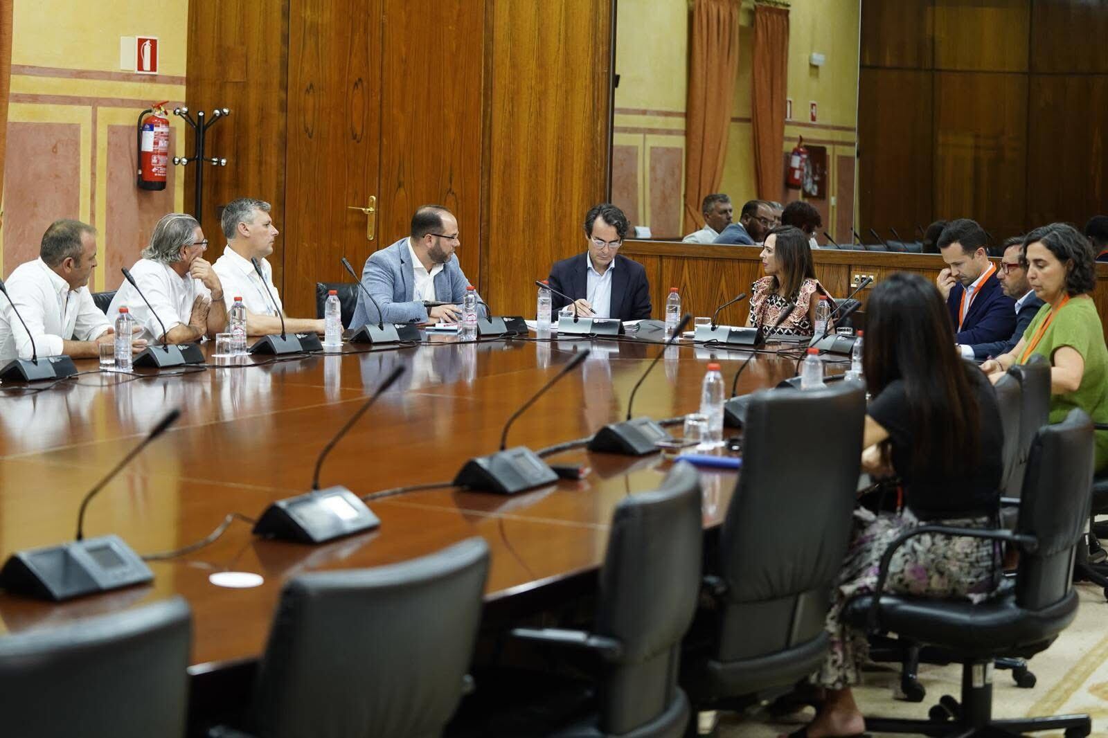 Un momento de la reunión celebrada entre los alcaldes de Castellar, Jimena y Tesorillo con la consejera de Fomento de la Junta, Rocío Díaz.