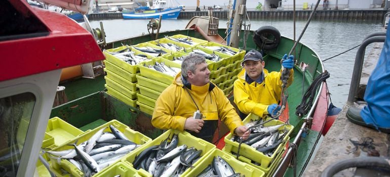 GRA472. SANTOÑA, 02/03/2015.- Unos marineros en el puerto de Santoña, en el barco Castro Verde, descargando el pescado el primer día de la costera del verdel. Las subastas en la lonja de Santoña de esta primera jornada de la costa para las embarcaciones de artes fijas han comenzado con unos precios que oscilan entre los 0,99 y 0,56 euros por kilo, lo que para los pescadores es un cifra "baja" para el inicio de la campaña. EFE/Pedro Puente Hoyos