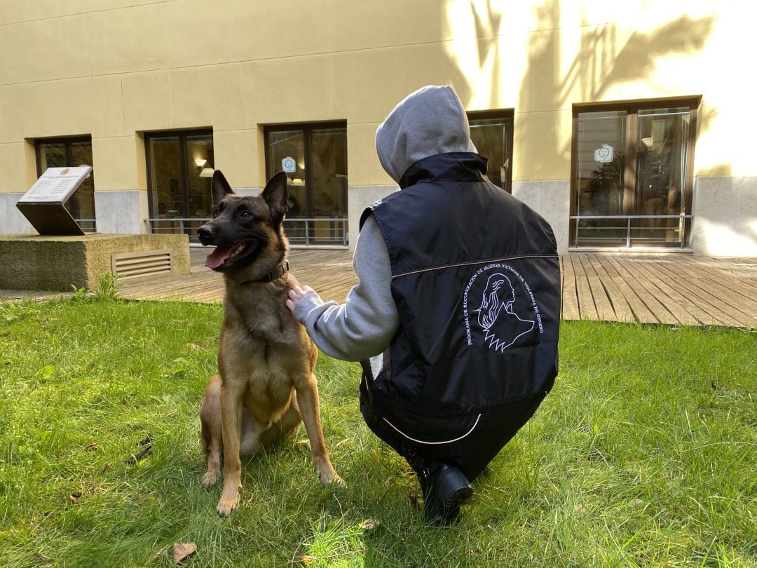 Proyecto de recuperación victimas violencia de género