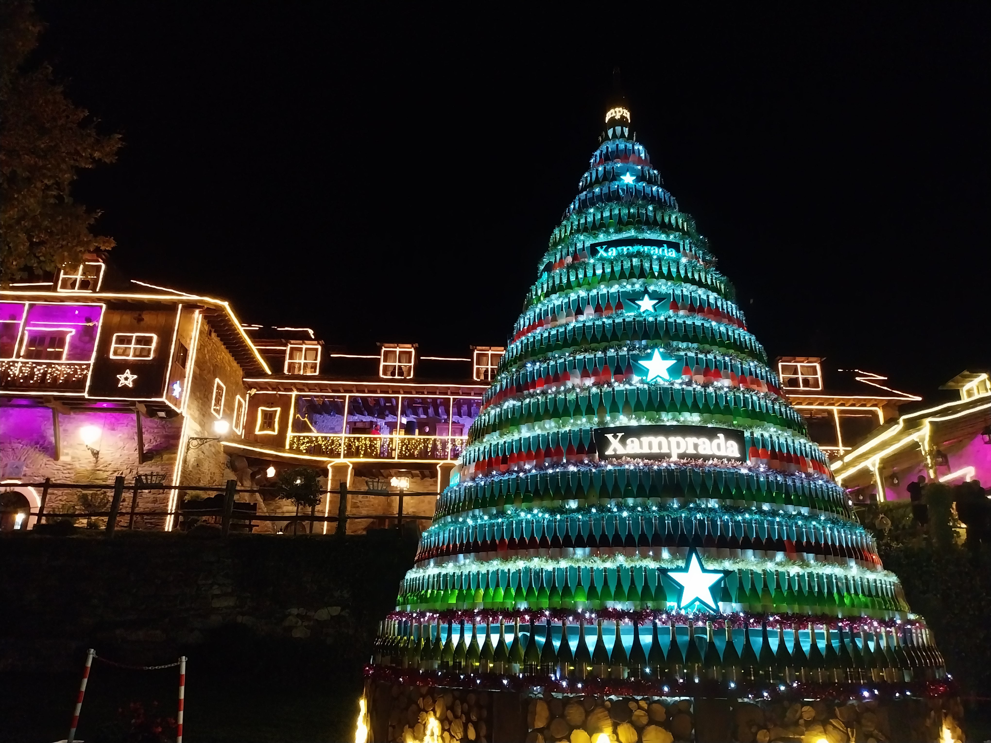 Iluminación del Palacio de Canedo