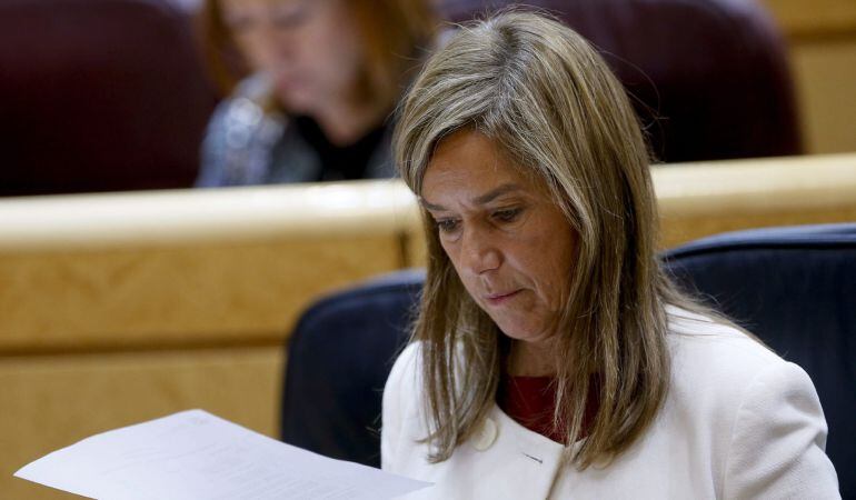 La exministra de Sanidad, Ana Mato, durante una sesión de control al Gobierno en el Senado