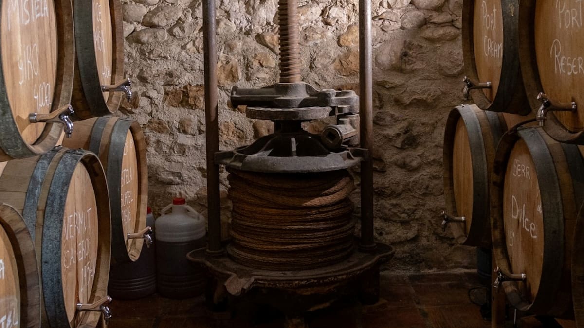 Lourdes Rubio, gerente de Ruta del Vino de Alicante, sobre el Día Mundial del Enoturismo