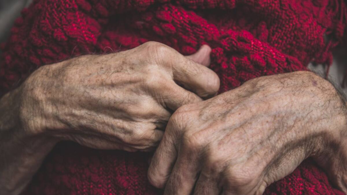 "Han negado la realidad, sabíamos que eran ratoneras"