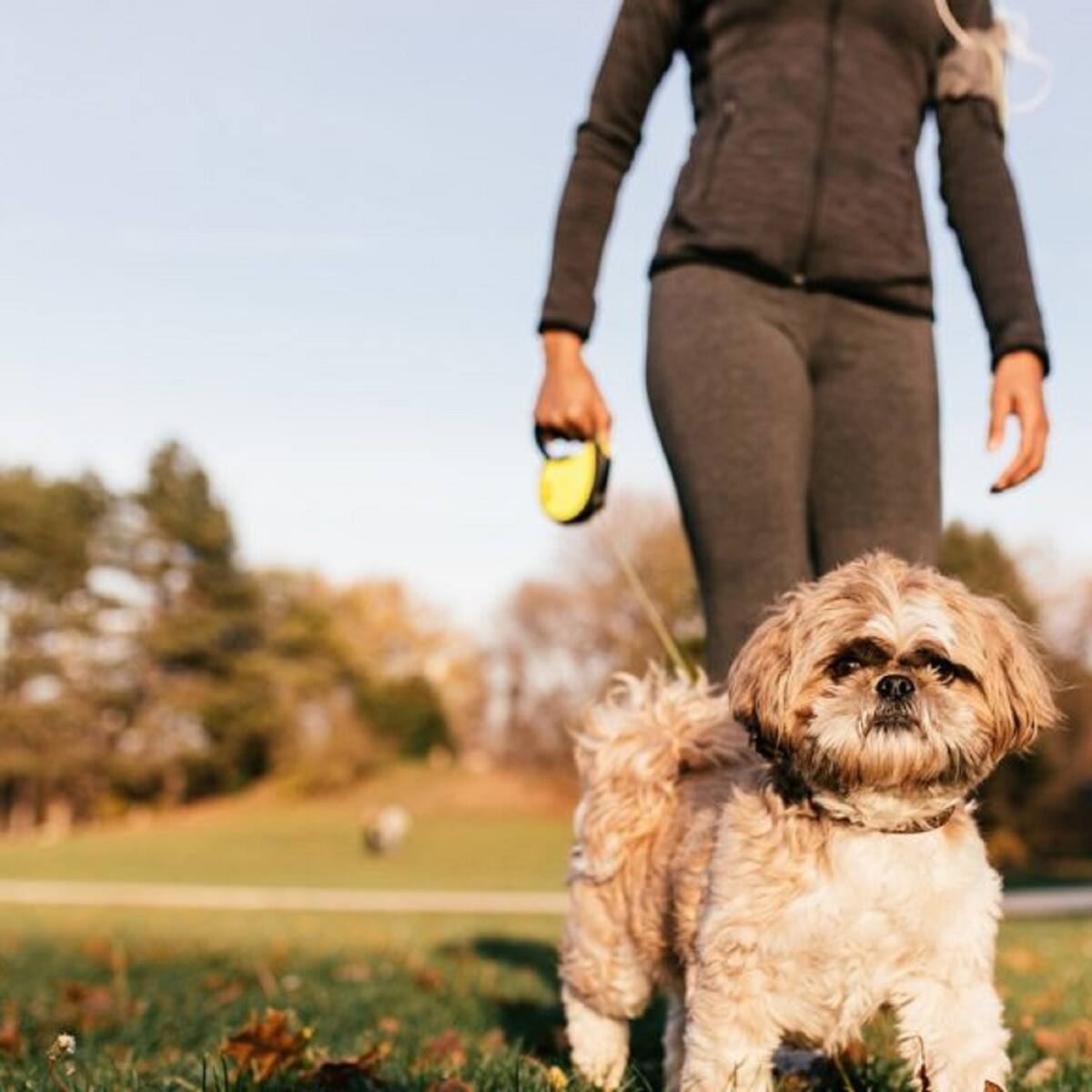 Tres Cantos incluye el Parque Norte como zona donde los perros podrán estar sueltos