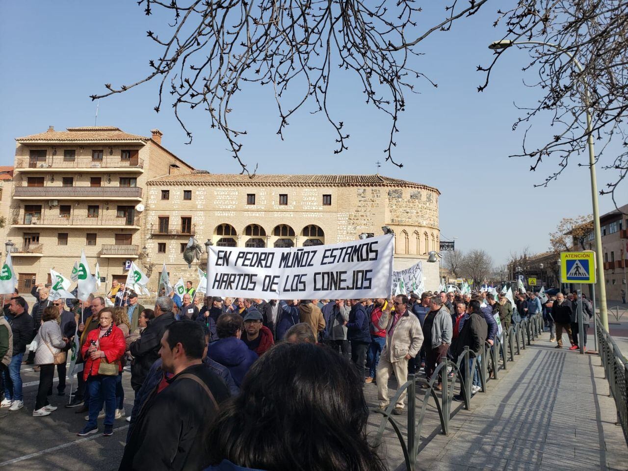 Manifestación de agricultores en Toledo por la sobrepoblación de conejos