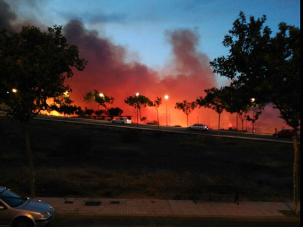 Plasencia pide colaboración para pillar a los responsables de los 5 incendios