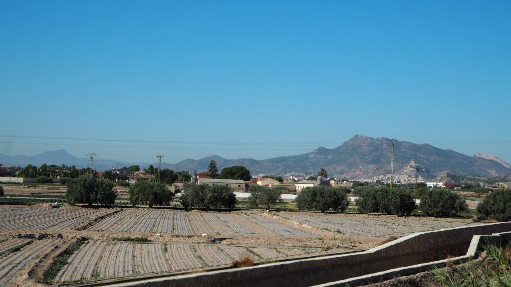 Comienzan las restricciones de agua para regadío en la Comunidad de Regantes de Lorca.