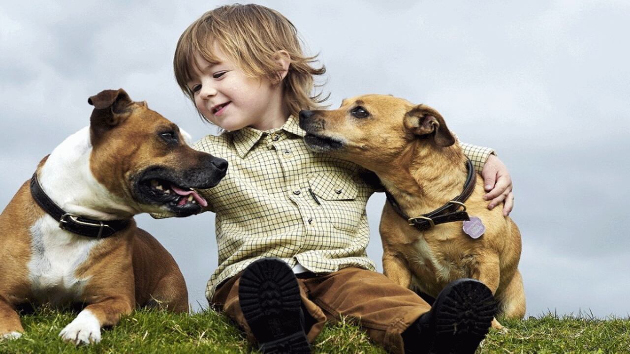 Un niño junto a dos perros