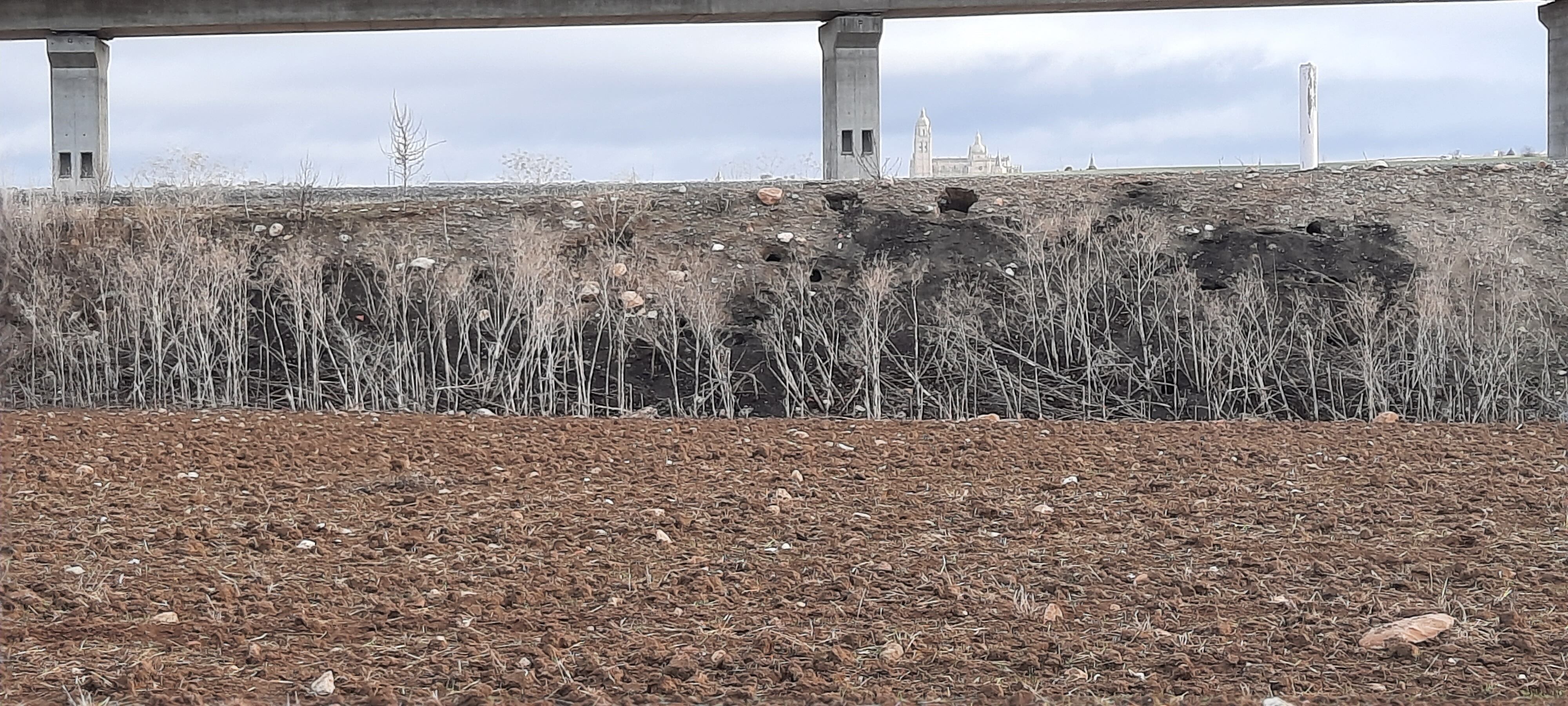 Túneles en el talud de la vía verdea la altura del kilómetro 197 de la antigua carretera N-110