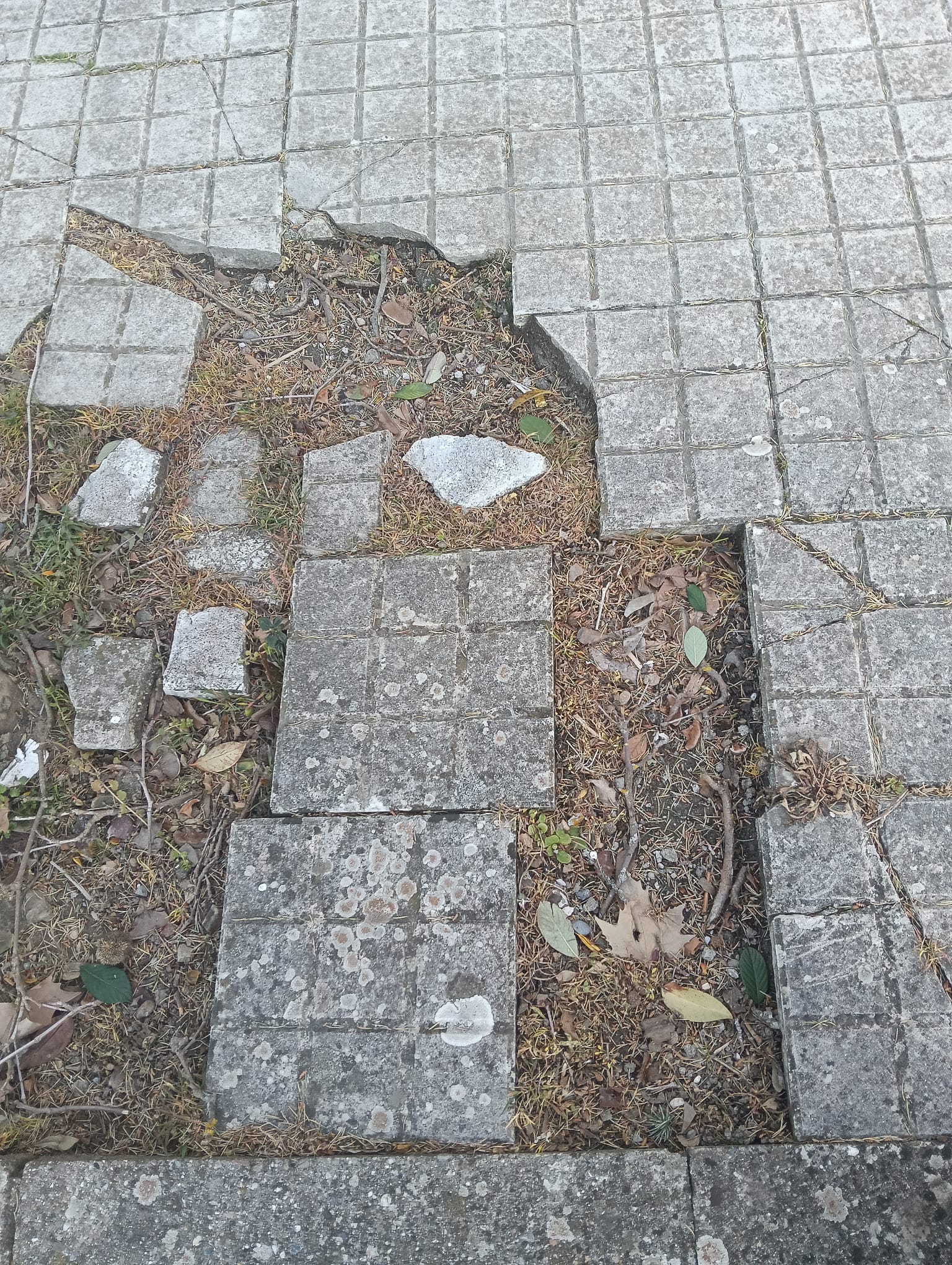 Los socialistas advierten de que las quejas vecinales por el mal estado del asfaltado, baldosas sueltas o cunetas en mal estado