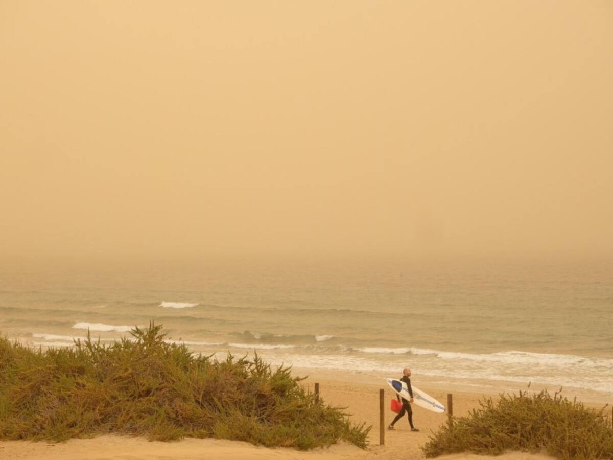 "La eterna primavera desaparecerá en Canarias": los efectos irreversibles del cambio climático