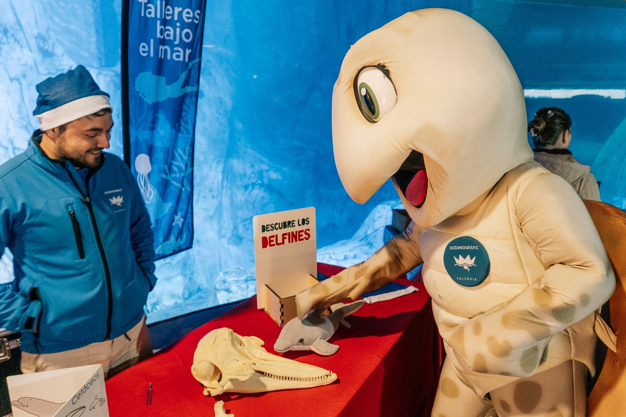 La ‘Navidad Bajo el Mar’ del Oceanogràfic vuelve con actividades sobre belugas, delfines y leones marinos