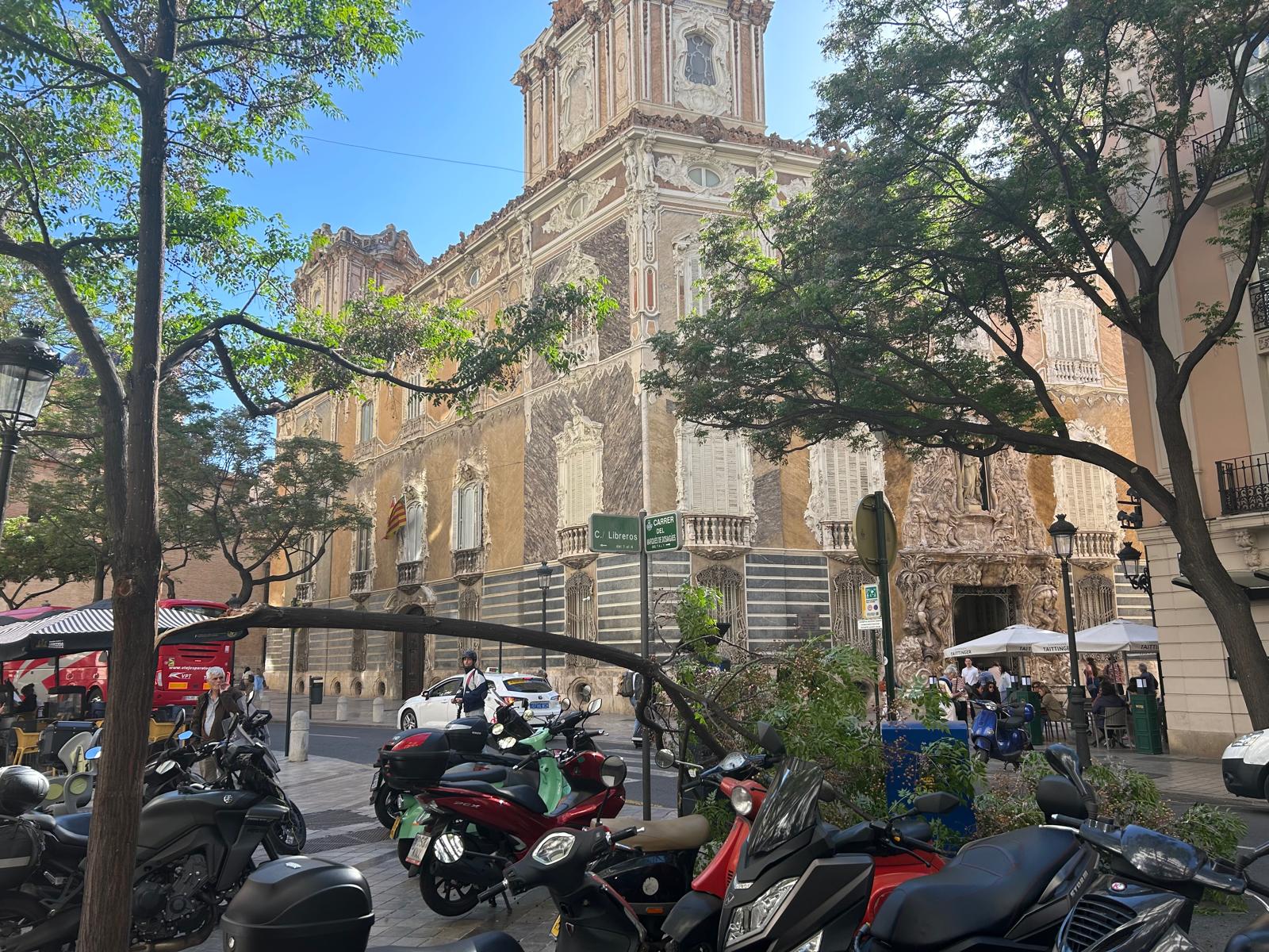 Rama caída de un árbol de la calle Marqués de Dos Aguas de València