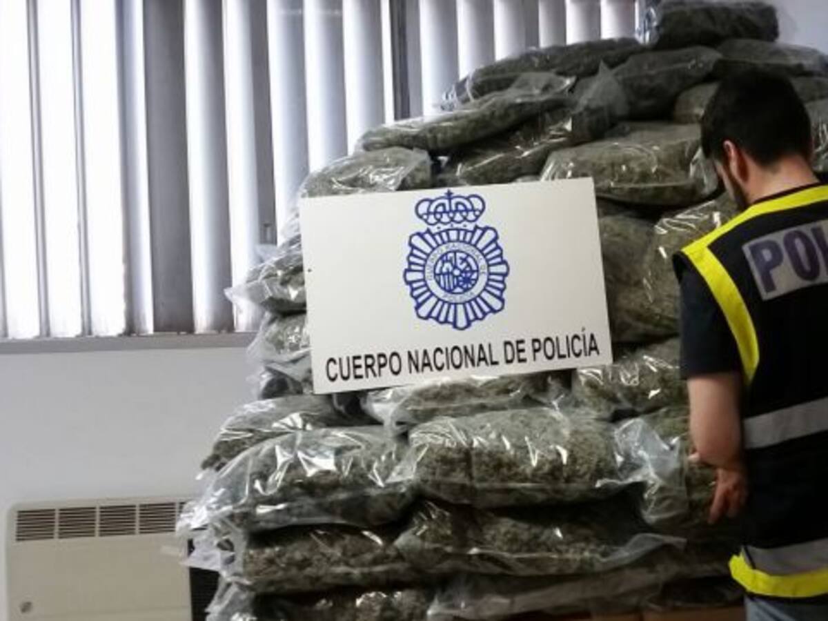 205 kilos de cogollos de marihuana escondidos entre cebollas