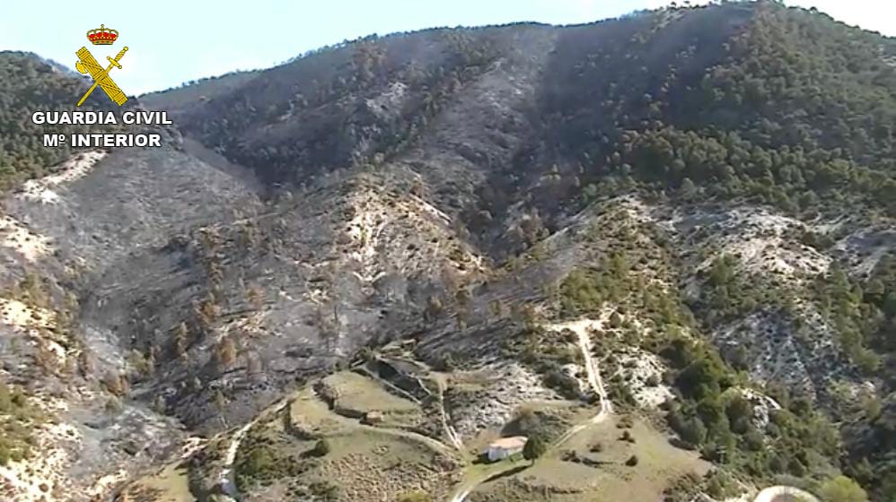 Monte afectado por el incendio de Ocentejo/Foto G.Civil Gu