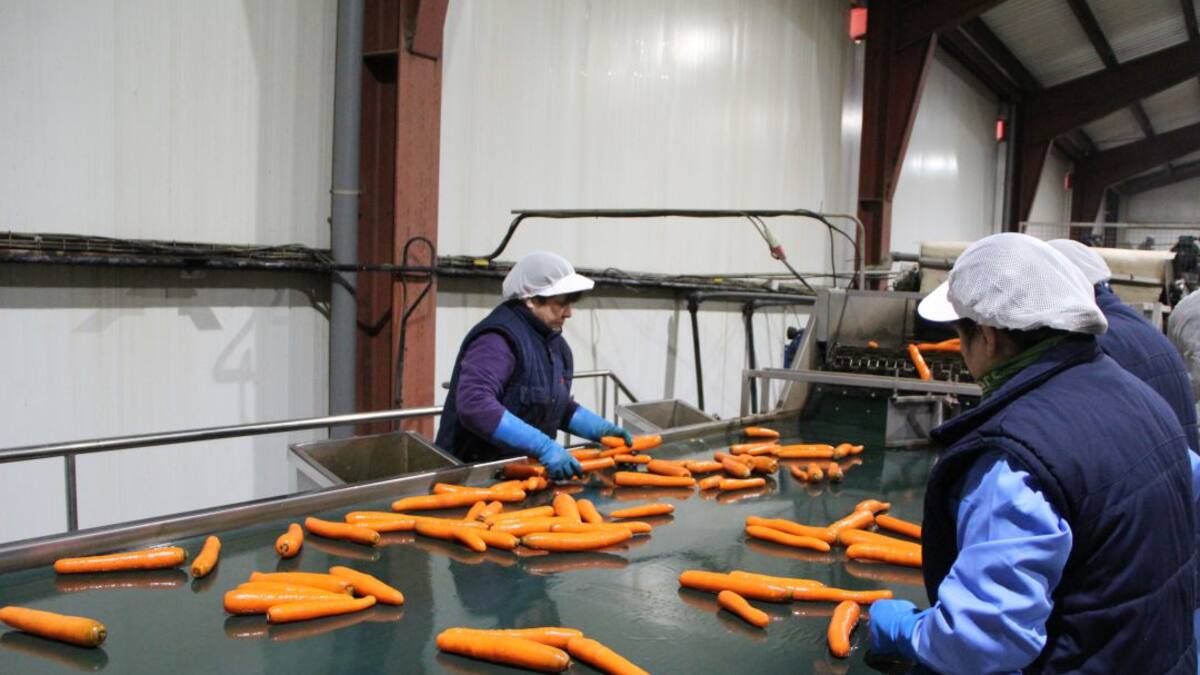 La industria agroalimentaria de la Región mantiene la actividad "con muchas dificultades"