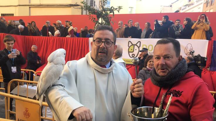 Repor bendición San Antonio Abad