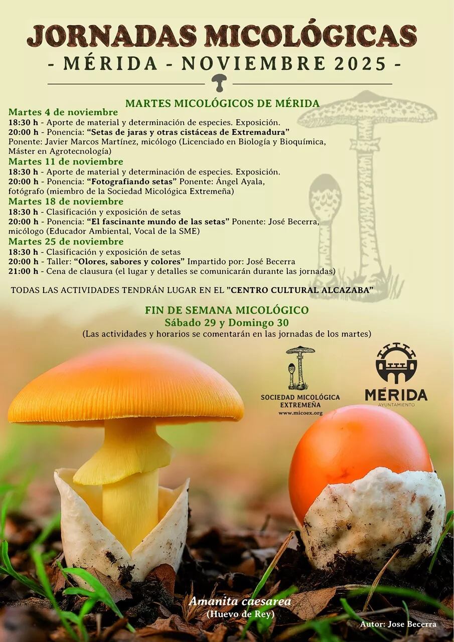 Programa de los &#039;Martes Micológicos&#039; de Mérida