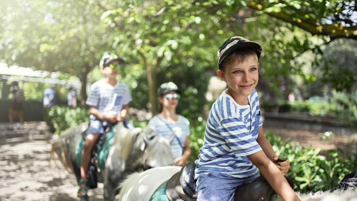 Recorrer la Comunitat Valenciana a caballo
