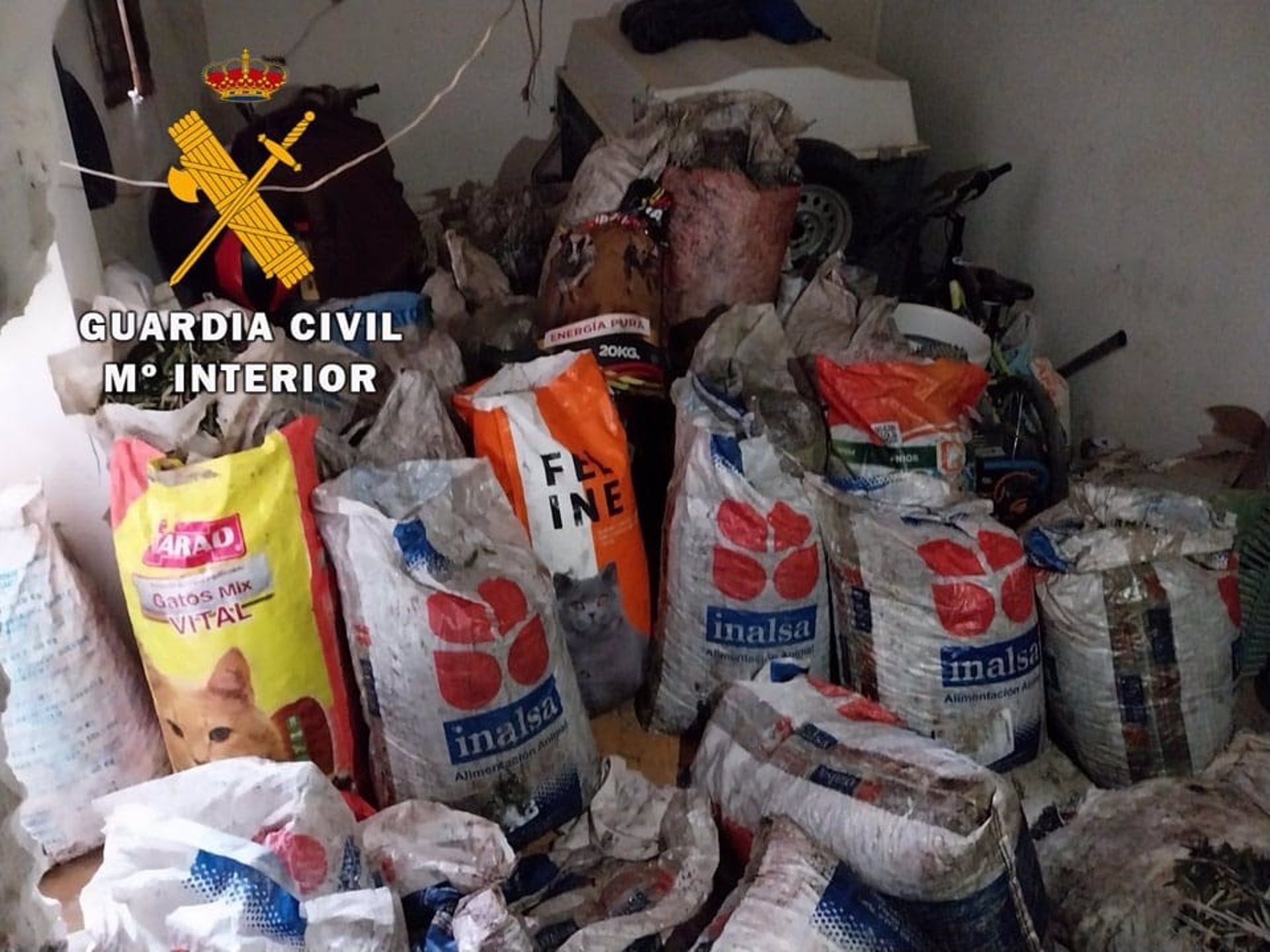 Parte de la aceituna robada en un tajo de Jaén y recuperada por la Guardia Civil