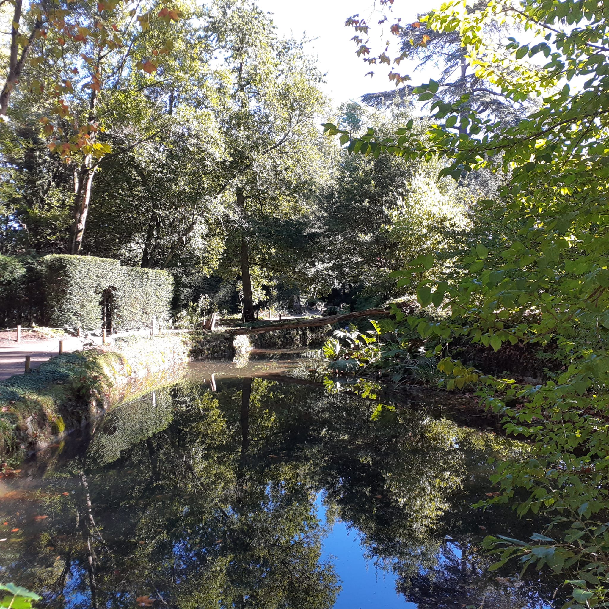 El Jardín Botánico Atlántico de Gijón cumple 20 años