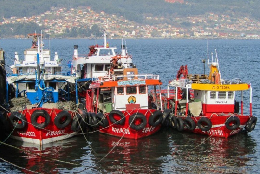 Barcos pesqueros. Foto de recurso