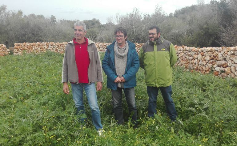 El conseller Vicenç Vidal (derecha) junto con representantes de la conselleria y del mundo agrícola de Menorca presentaron en Sant Climent las mejoras de la pared seca.
