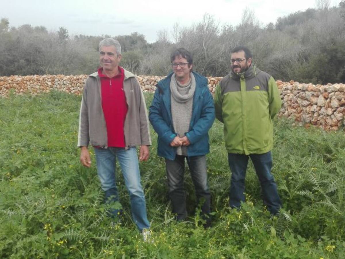 El Govern balear financia la reparación de 40 Km de pared seca en la Isla