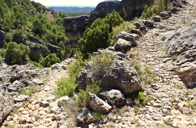 El sendero se adentra en el Parque Natural de la Serranía de Cuenca.