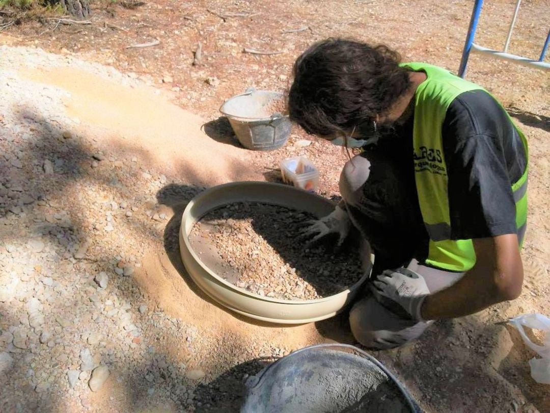 Imagen de las últimas excavaciones