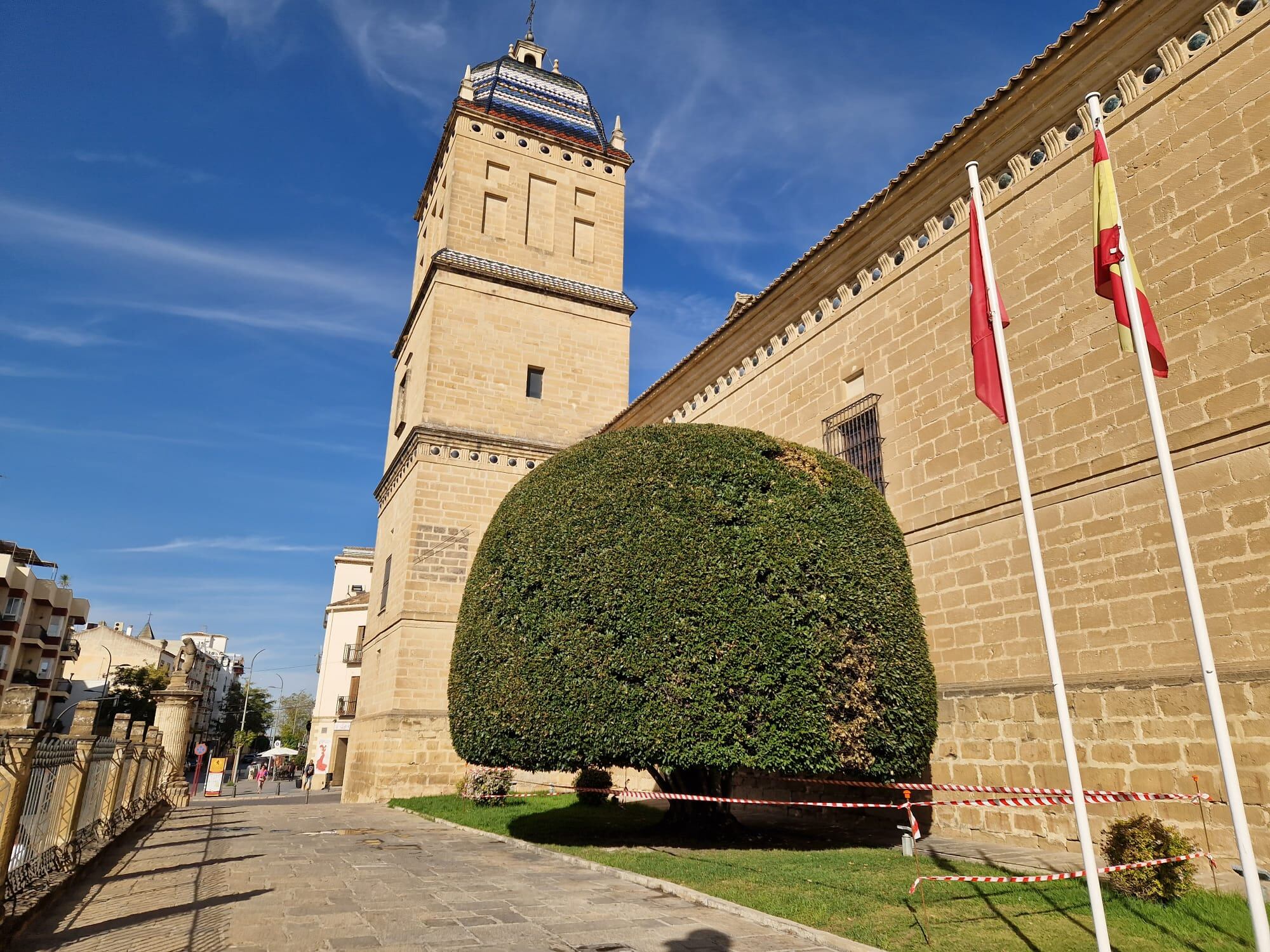Fachada del Hospital de Santiago de Úbeda con el emblemático laurel