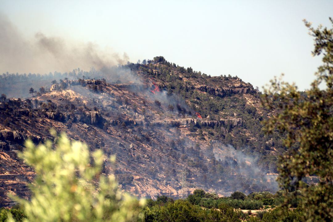 Imatge de l&#039;incendi forestal, aquesta tarda