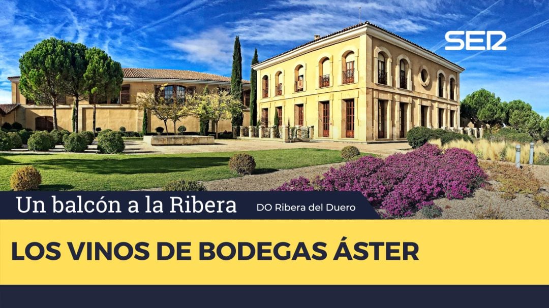 Bodegas Áster