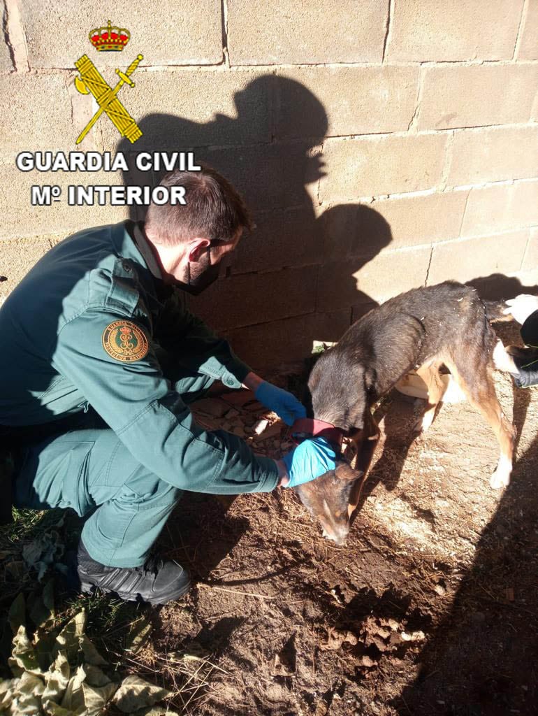Prensa Guardia Civil