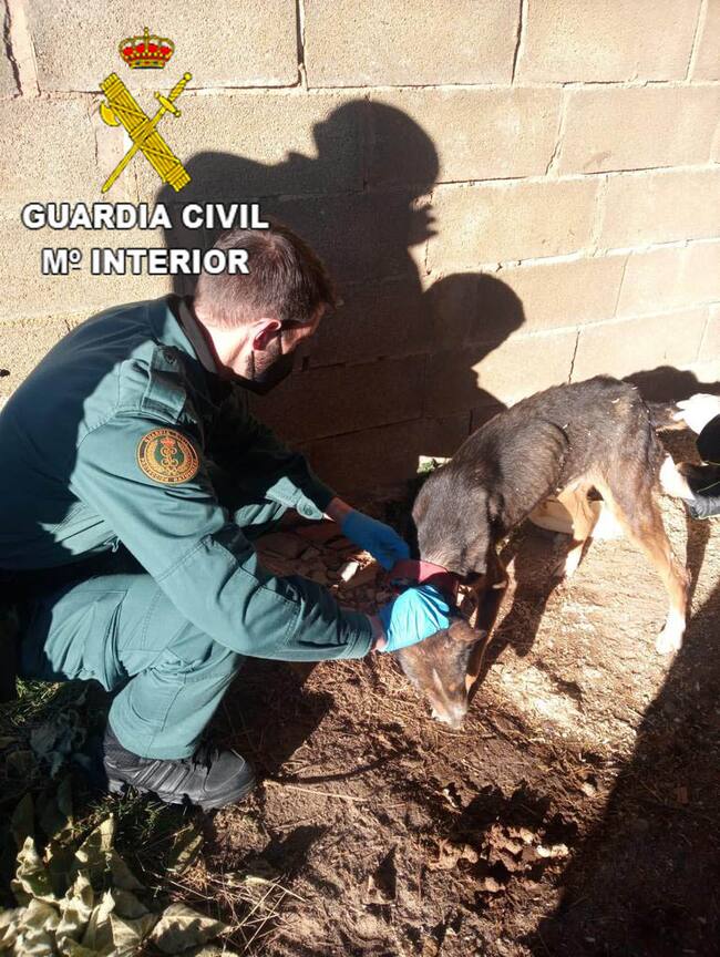 Prensa Guardia Civil