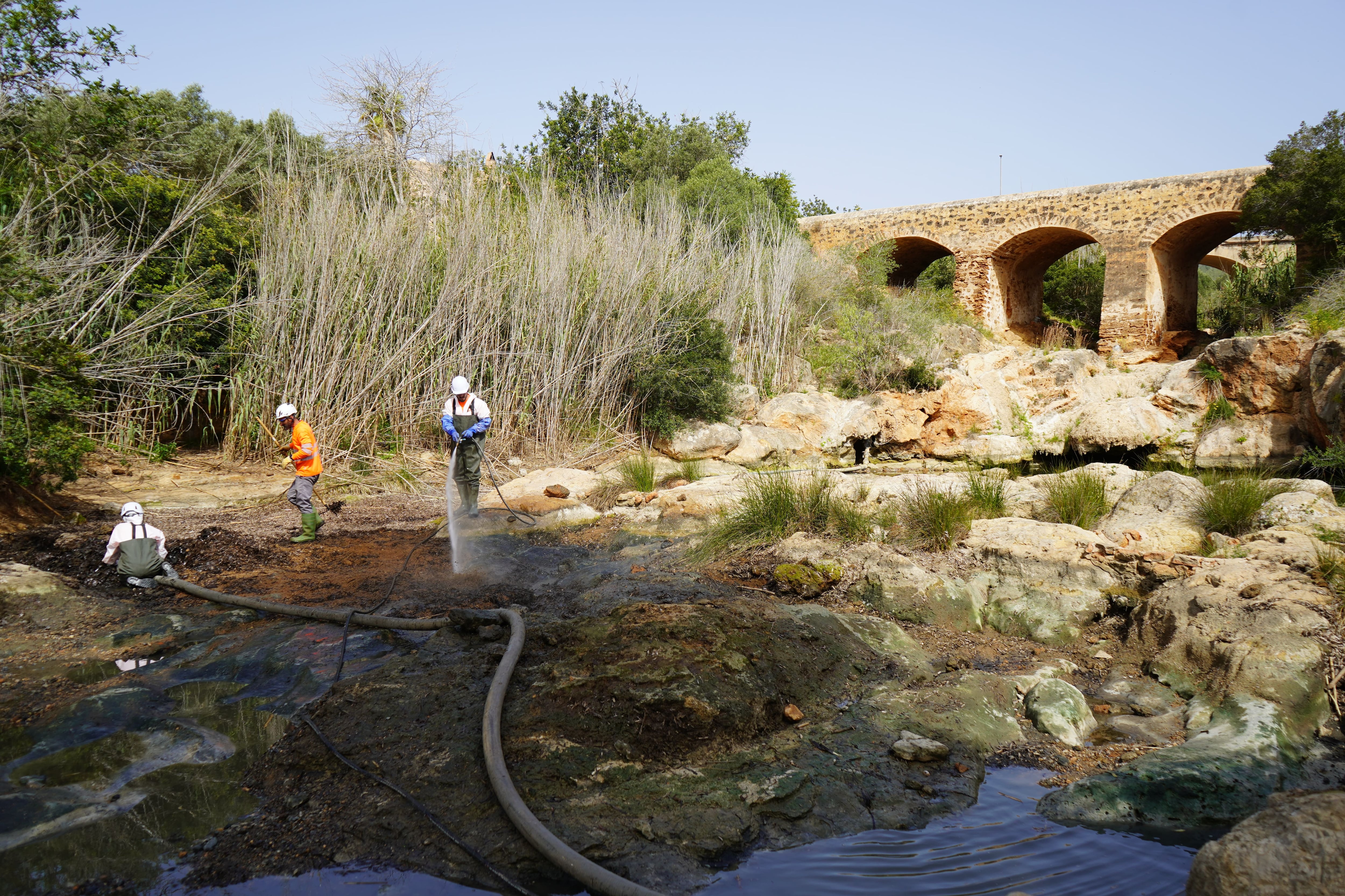Trabajos de limpieza en la zona
