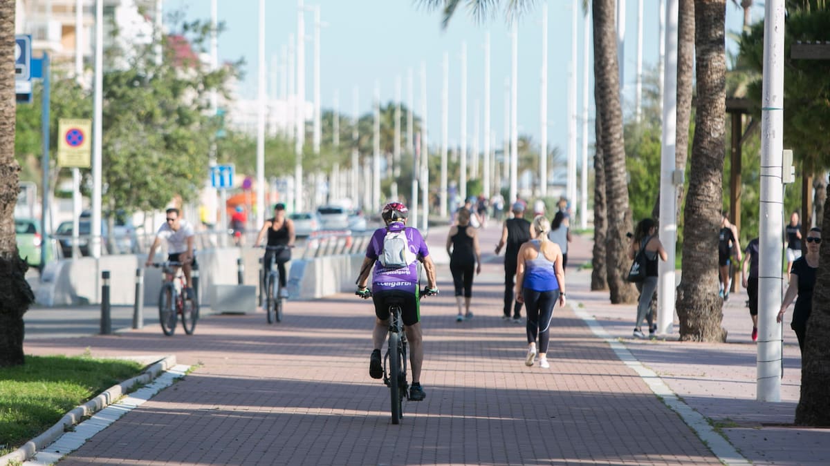 Gandia registra más de 246.000 desplazamientos diarios durante 2025