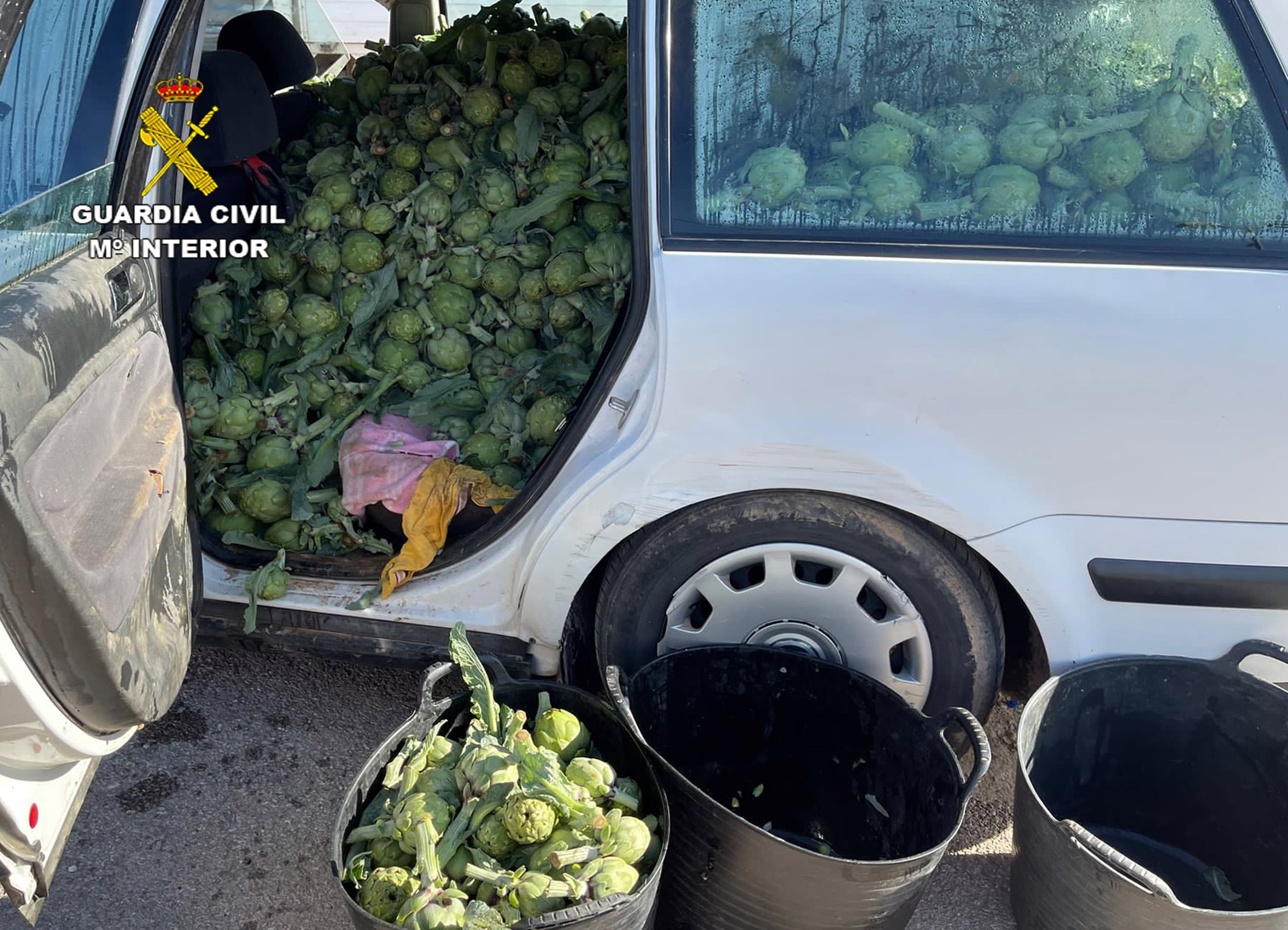 Díez personas detenidas por el robo de 7.000 kilos de frutas y hortalizas para venta ambulante