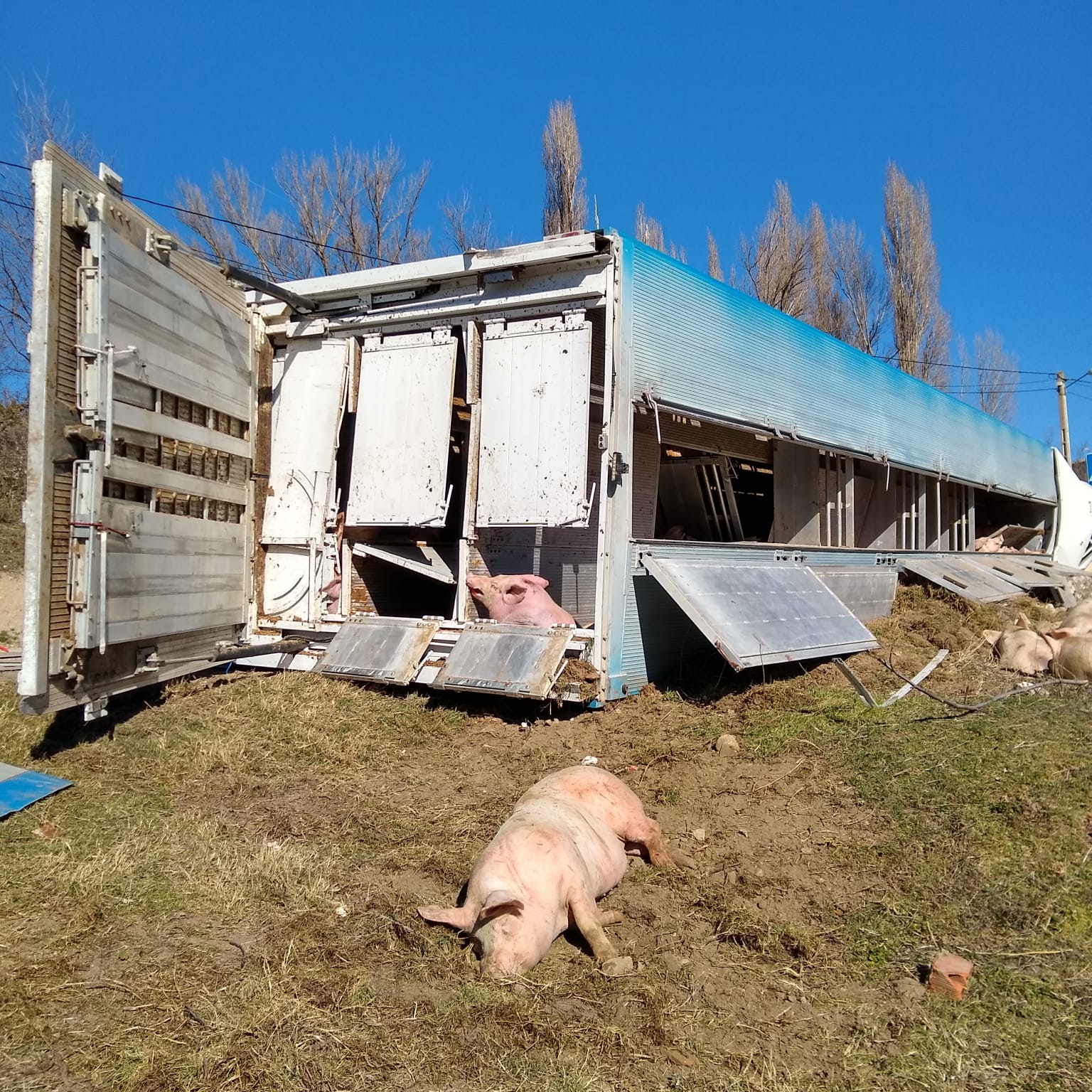 Imagen del siniestro en la provincia de Palencia