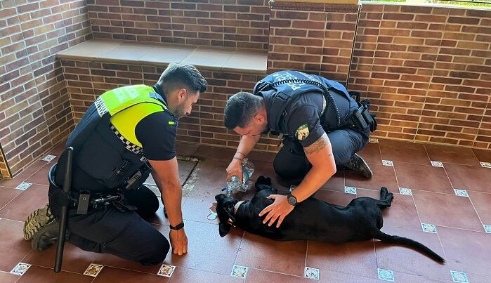 Dos agentes dan de beber agua a un can