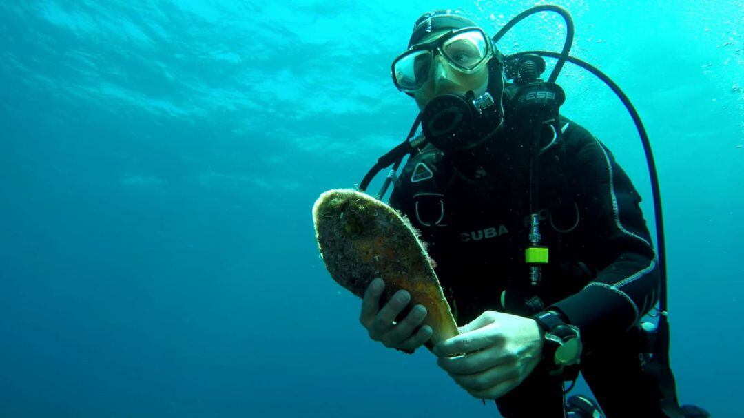 Els subamirinistes particulars han trobat bona part de les nacres que sobreviuen a Menorca.