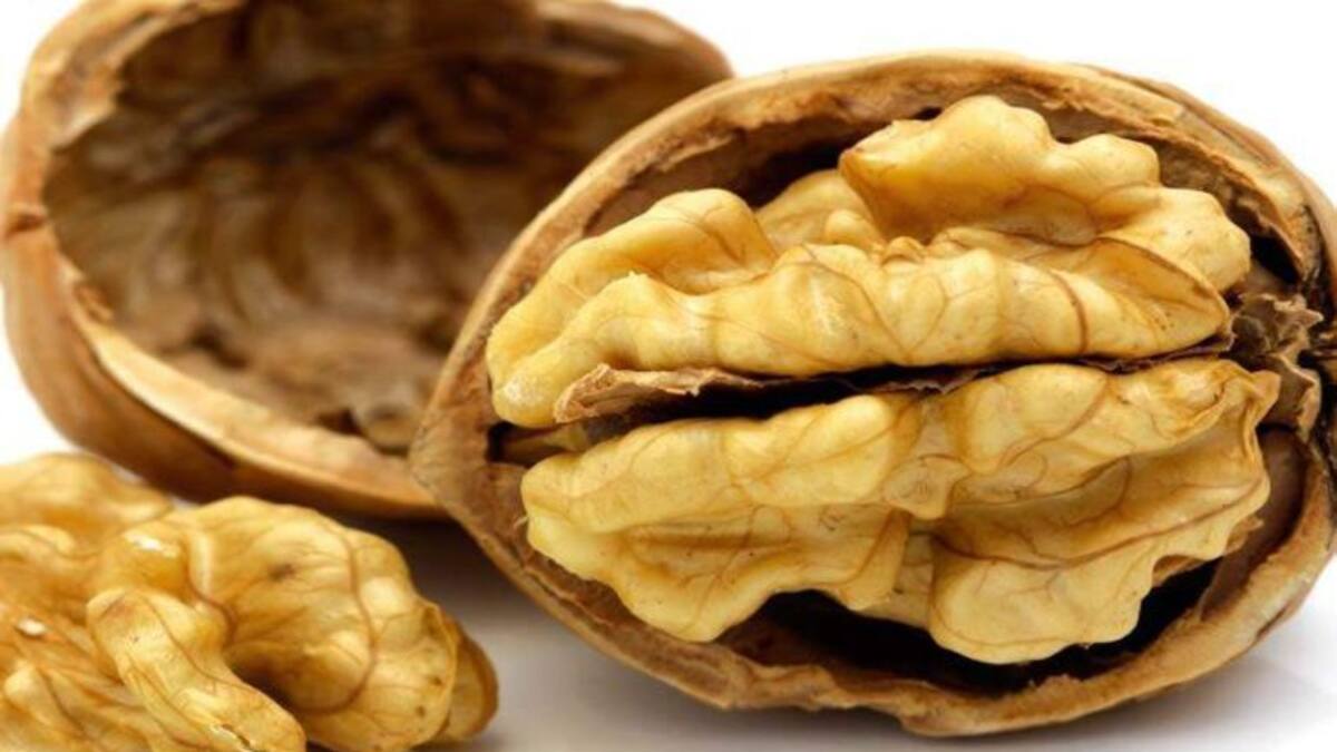La nuez de Nerpio, única en su especie