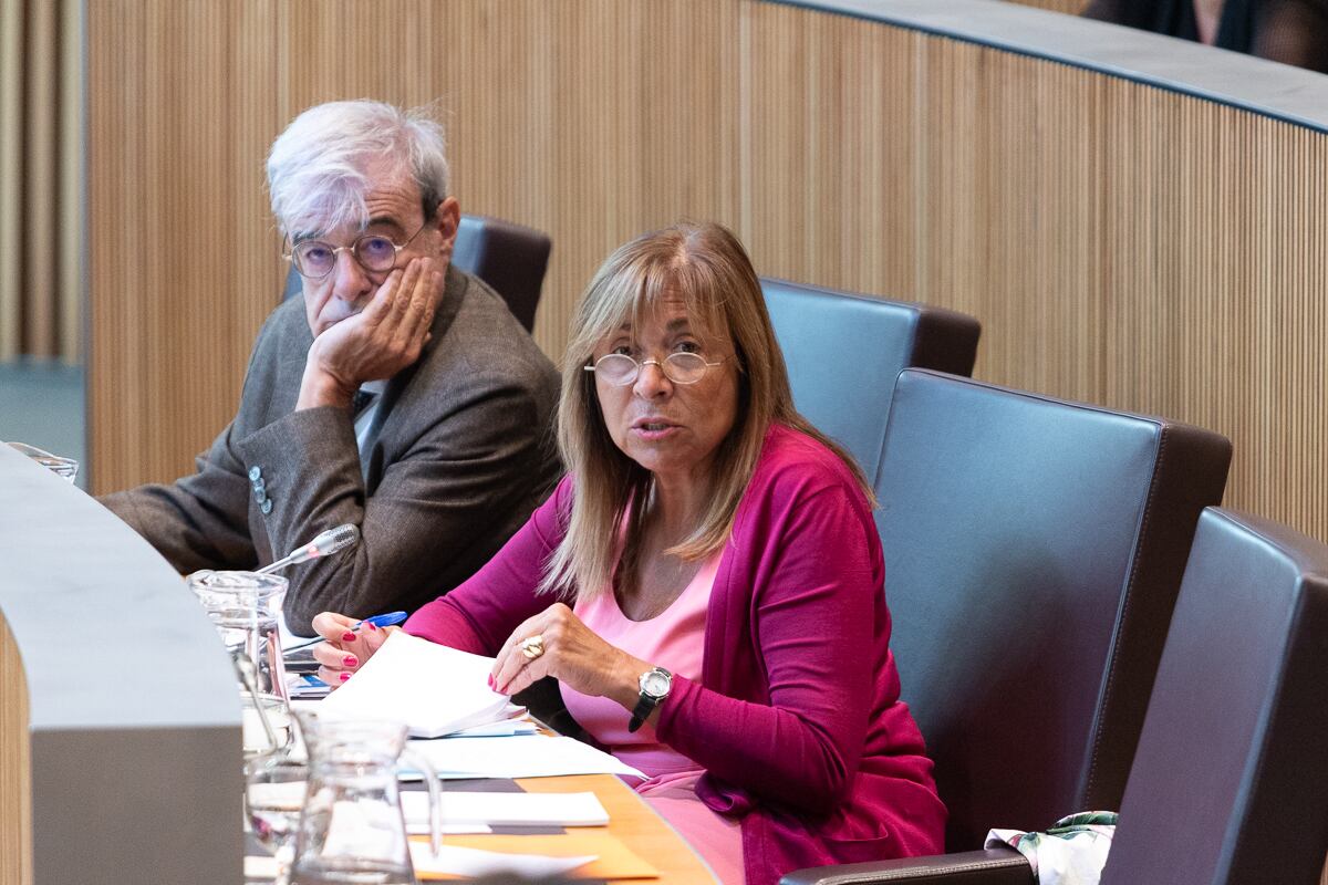 La ministra d'Habitatge, Conxita Marsol, duant la sessió de control al Govern del Consell General
